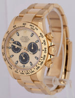 2022 NEW PAPERS Rolex Daytona Champagne YML 40mm 18K Gold Watch 116508 BOX