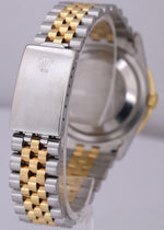 UNPOLISHED Rolex DateJust Turn-O-Graph Thunderbird 36mm CHAMPAGNE 18K Gold 16263