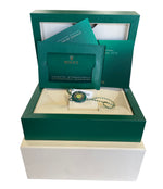 BRAND NEW SEPT 2021 Rolex Oyster Perpetual 41mm YELLOW Steel Oyster Watch 124300