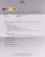 2017 SERVICED IWC Pilot Mark XV Spitfire 3253 IW325305 Steel Black 38mm Watch