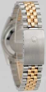 Rolex DateJust 36mm Champagne NO-HOLES 18K Gold Stainless Steel Watch 16233